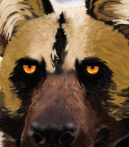 Africian Wild Dog