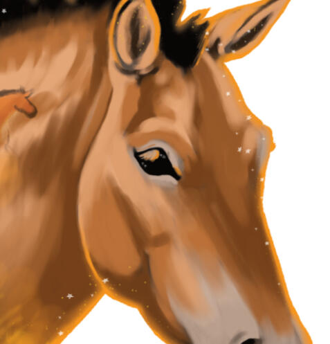 Horse history